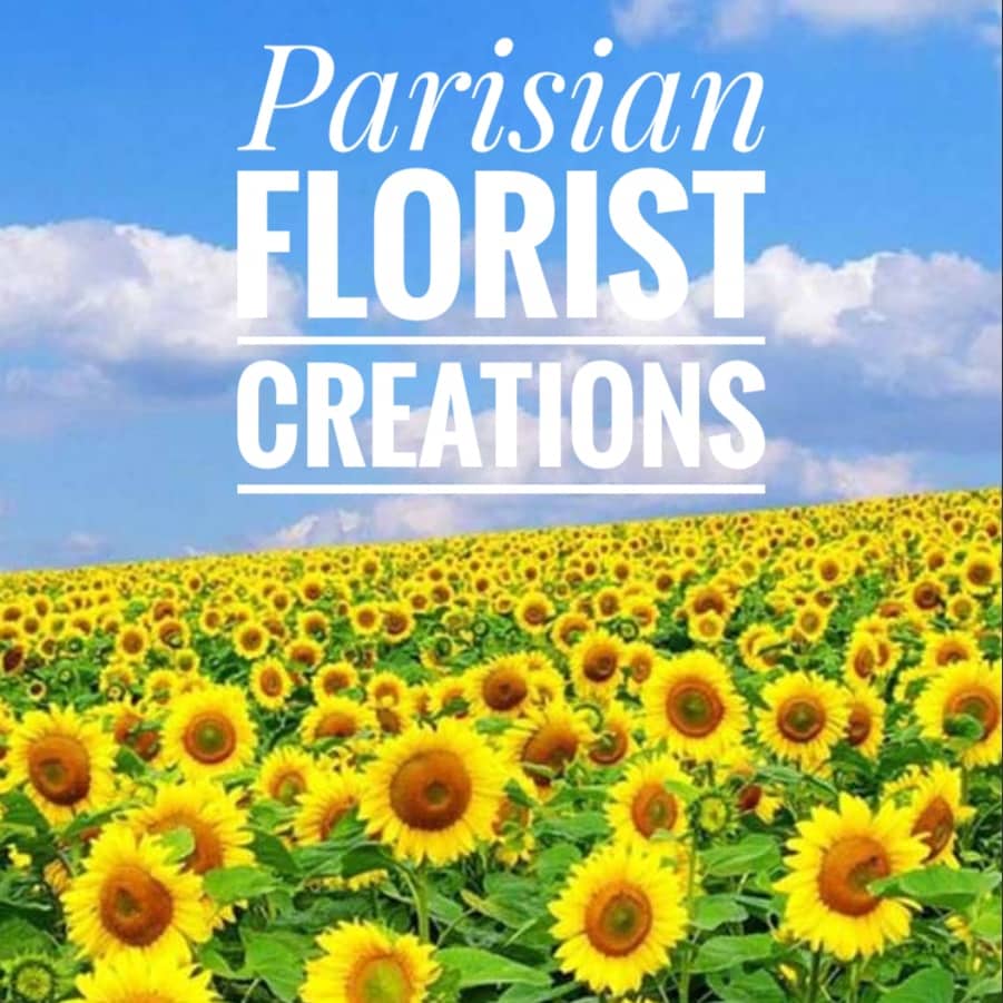 Beautiful Seasonal Flowers Banner